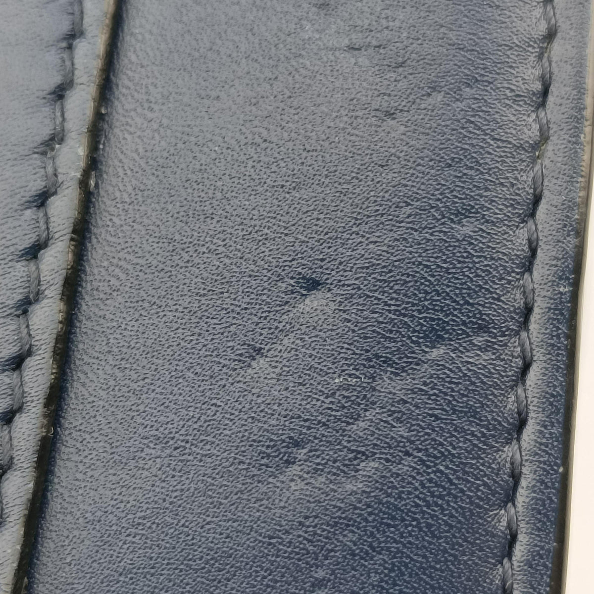 SERPENTI FOREVER Navy Leather DG.A16.39204セルペンティ フォーエバー ネービー レザー DG.A16.39204