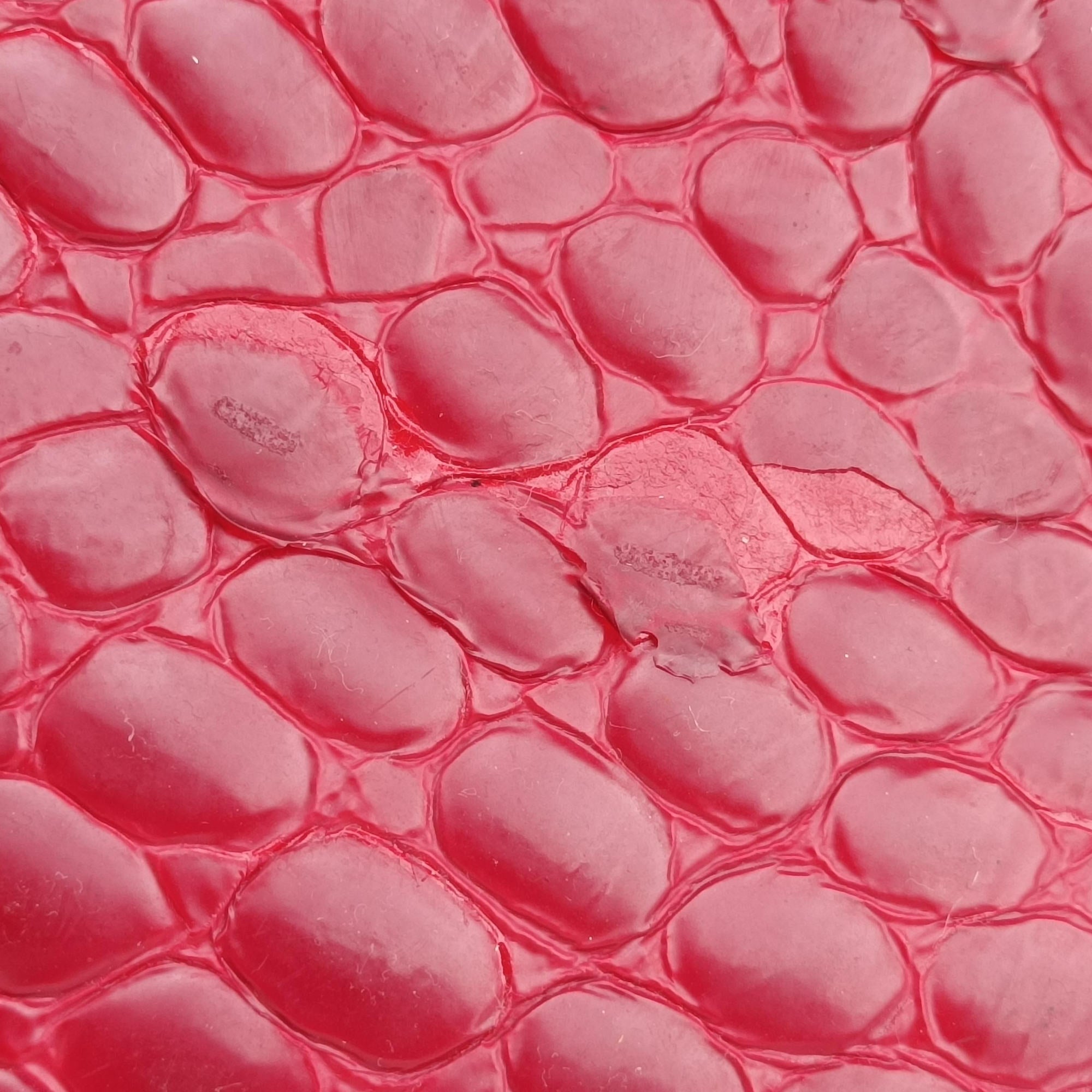 Croc Red Leather 01-RU-0019クロック レッド レザー 01-RU-0019