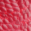 Croc Red Leather 01-RU-0019クロック レッド レザー 01-RU-0019
