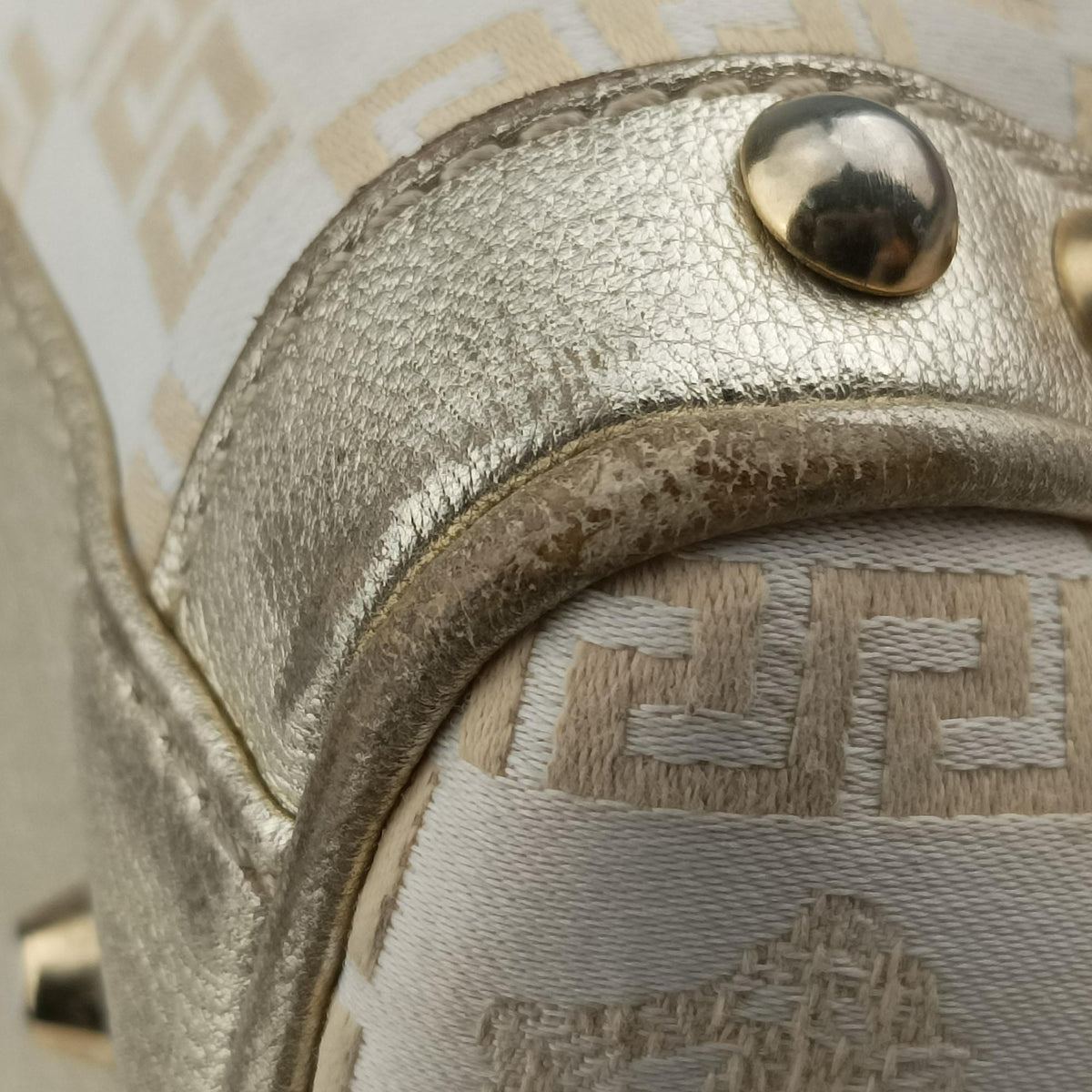 La Medusa Golden Canvas × Leather ラ メデューサ ゴールド キャンバス × レザー 