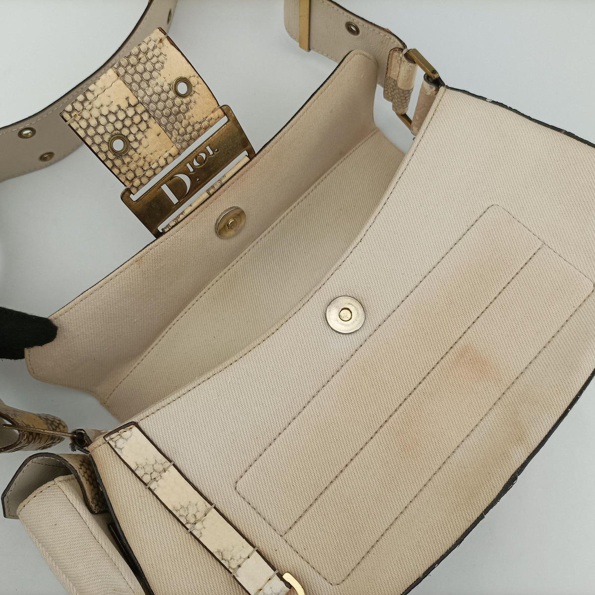 Street Chic Columbus Beige Python×canvas 00-MA-1022ストリートシック コロンバス ベージュ パイソン×キャンバス 00-MA-1022