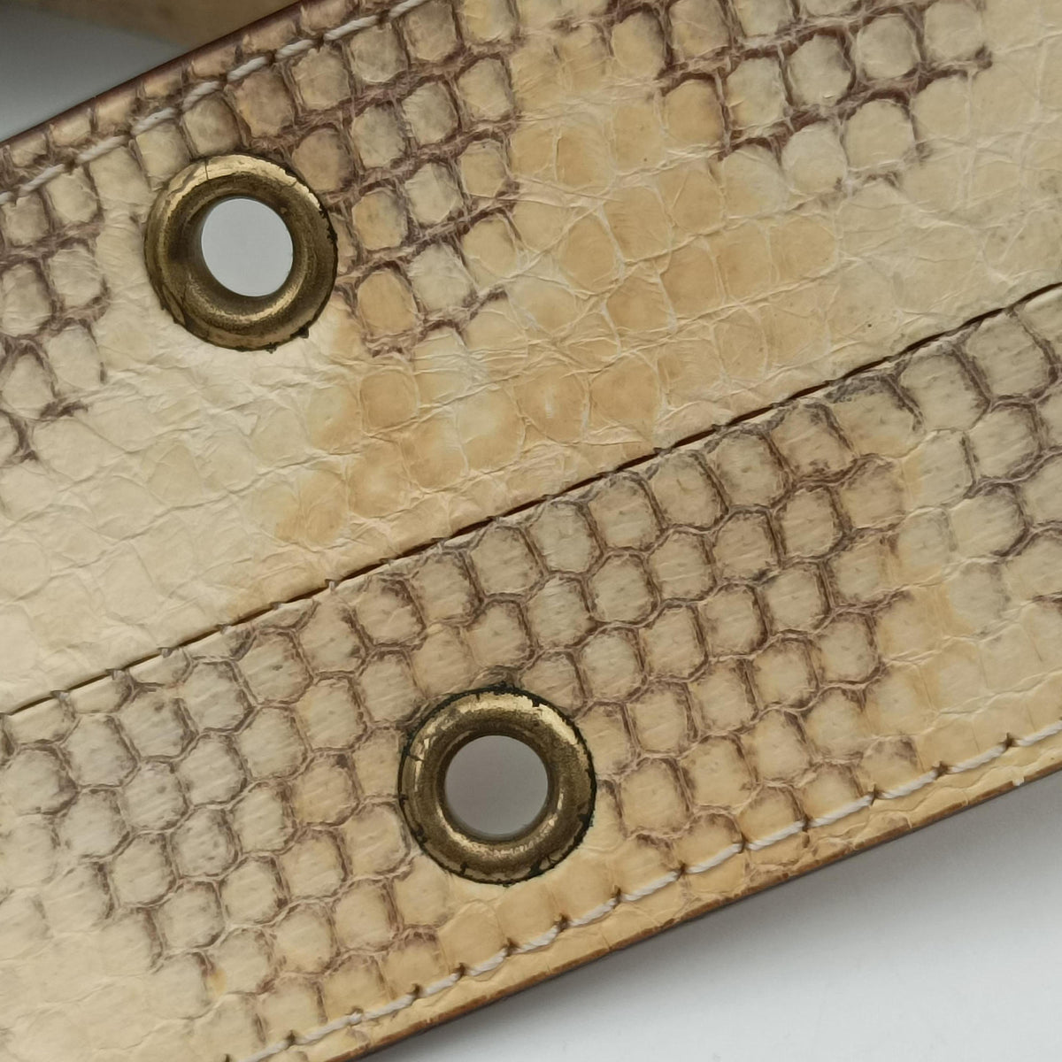 Street Chic Columbus Beige Python×canvas 00-MA-1022ストリートシック コロンバス ベージュ パイソン×キャンバス 00-MA-1022