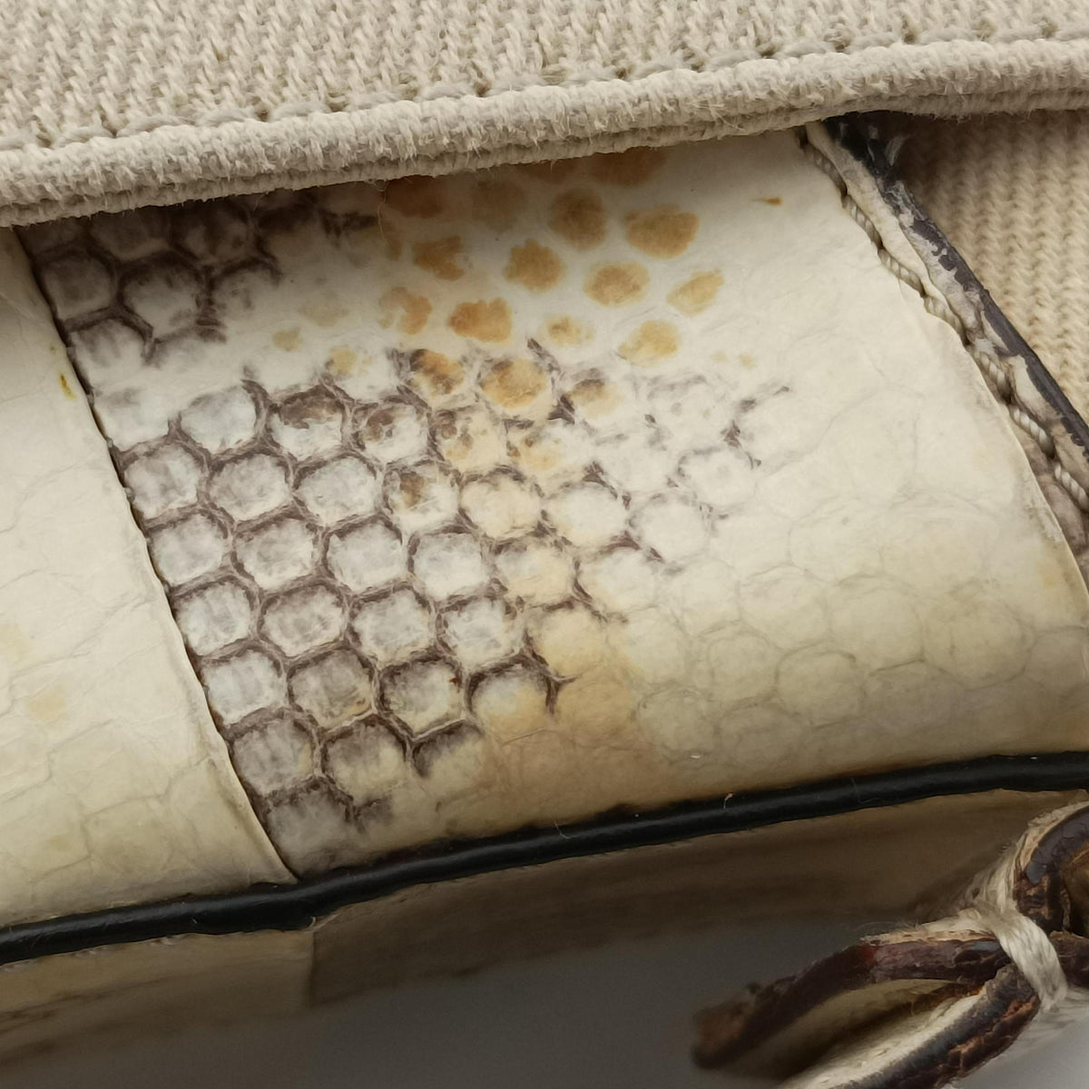 Street Chic Columbus Beige Python×canvas 00-MA-1022ストリートシック コロンバス ベージュ パイソン×キャンバス 00-MA-1022