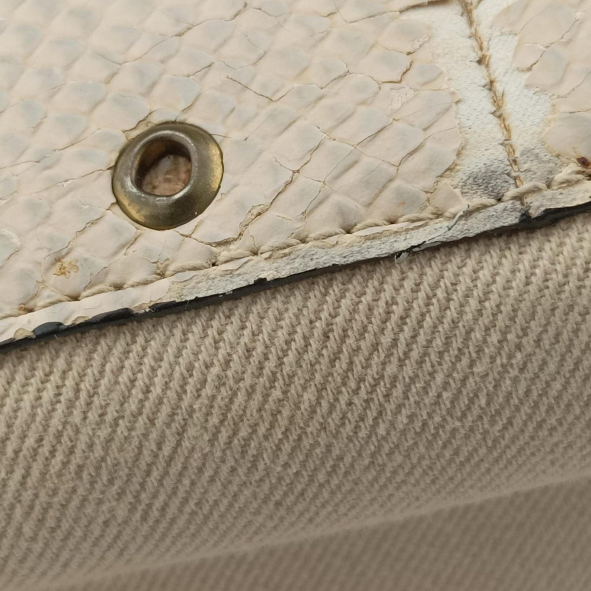 Street Chic Columbus Beige Python×canvas 00-MA-1022ストリートシック コロンバス ベージュ パイソン×キャンバス 00-MA-1022