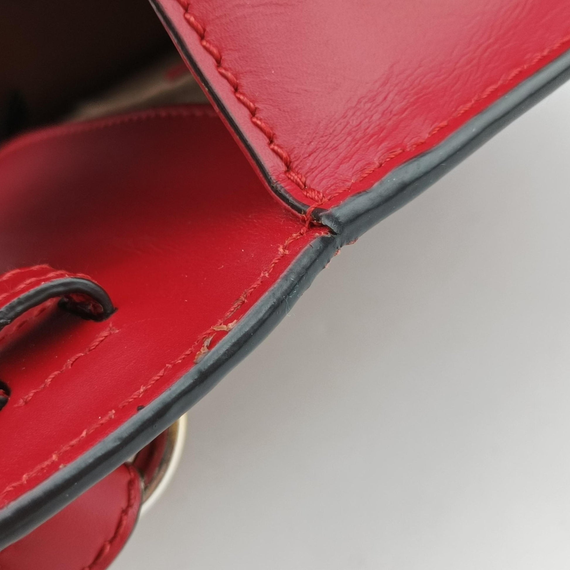Sylvie Red Leather 470270 A022671434シルヴィ レッド レザー 470270 A022671434