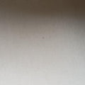 Alma PM Dune Vernis M90101 Lot number unknownアルマPM デュンヌ ヴェルニ M90101 製番不明