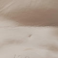 Bamboo Web Nymphaea Brown leather 470271 E024614976ニムフェア バンブー ウェブ ブラウン レザー 470271 E024614976