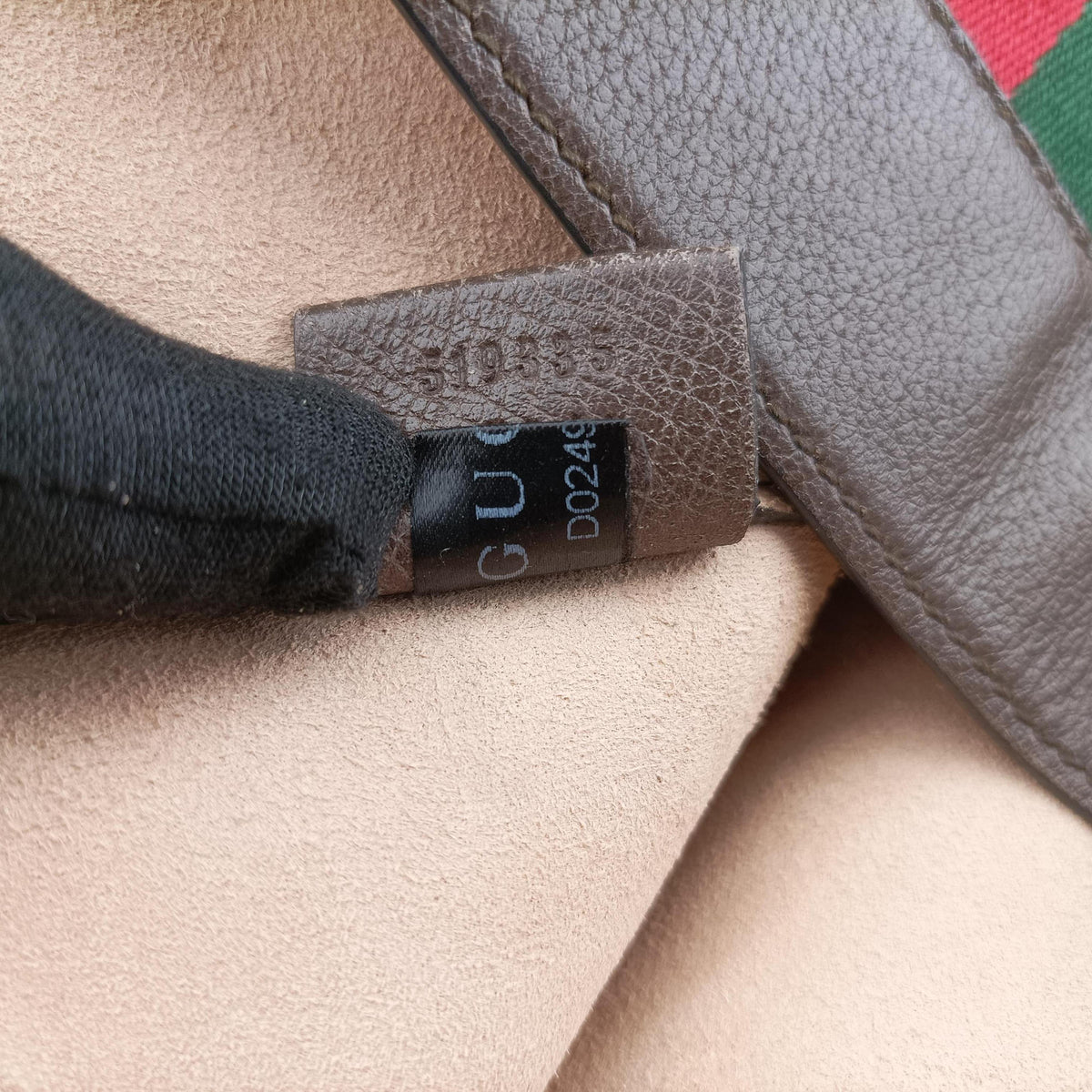 Ophidia Brown PVC coated canvas×Leather 519335 D024910797オフィディア ブラウン PVCコーティングキャンバス×レザー 519335 D024910797