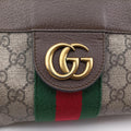 Ophidia Brown PVC coated canvas×Leather 519335 D024910797オフィディア ブラウン PVCコーティングキャンバス×レザー 519335 D024910797