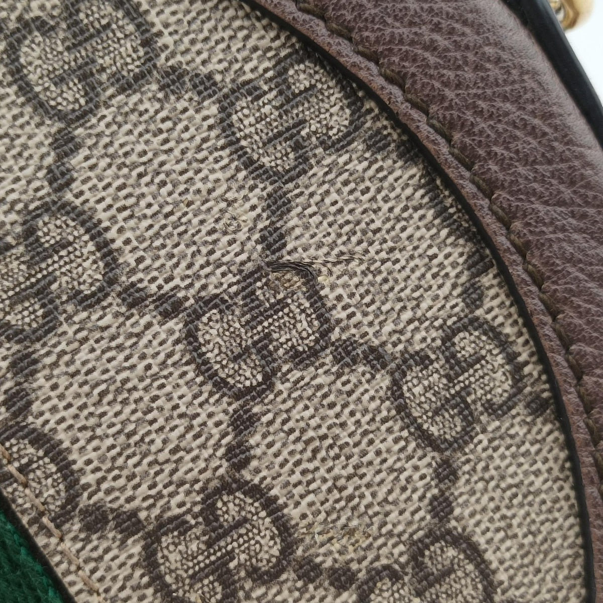 Ophidia Brown×beige PVC coated canvas×Leather 550618 C027693813オフィディア ブラウン×ベージュ PVCコーティングキャンバス×レザー 550618 C027693813