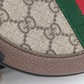 Ophidia Brown×beige PVC coated canvas×Leather 550618 C027693813オフィディア ブラウン×ベージュ PVCコーティングキャンバス×レザー 550618 C027693813