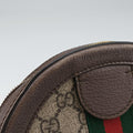 Ophidia Brown×beige PVC coated canvas×Leather 550618 C027693813オフィディア ブラウン×ベージュ PVCコーティングキャンバス×レザー 550618 C027693813
