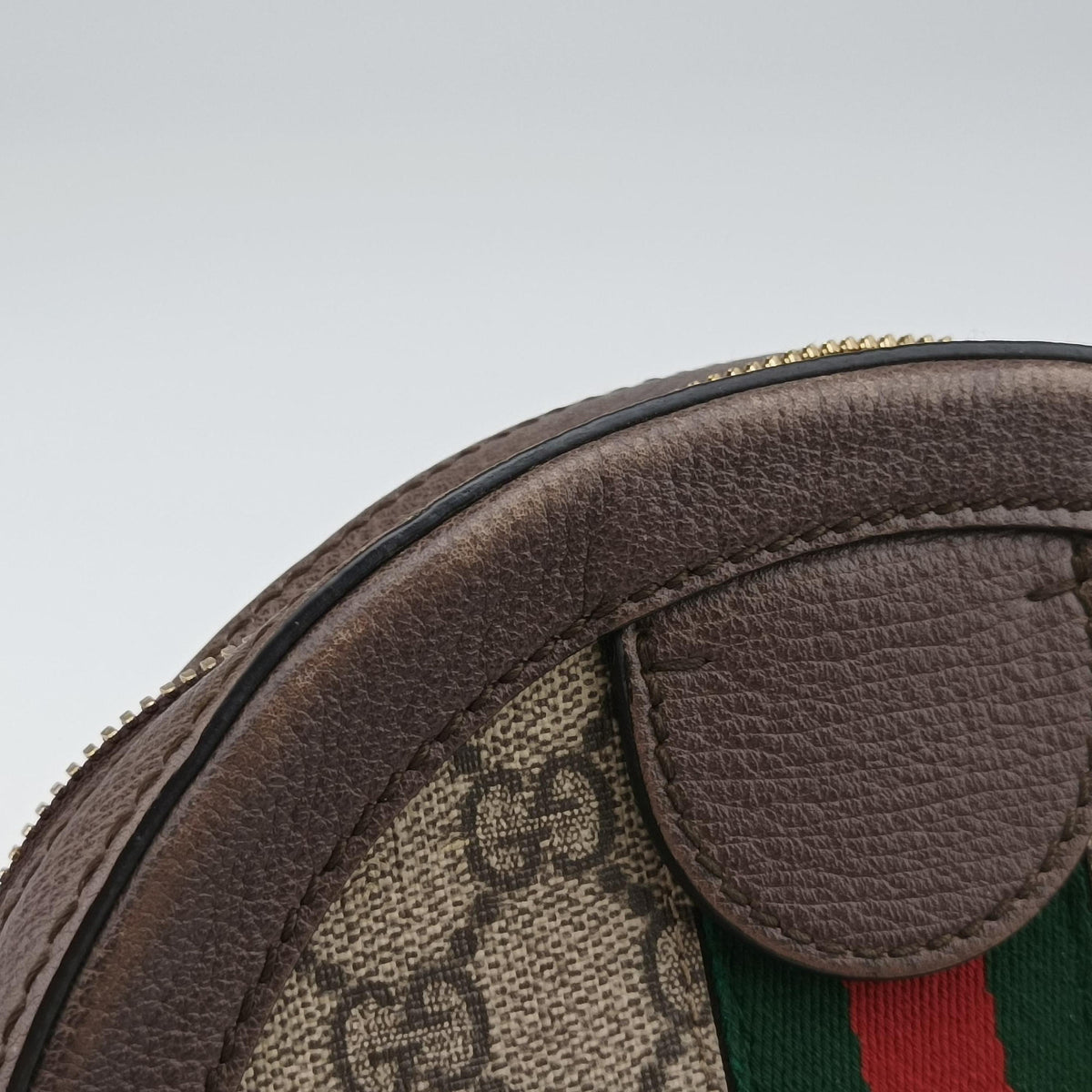 Ophidia Brown×beige PVC coated canvas×Leather 550618 C027693813オフィディア ブラウン×ベージュ PVCコーティングキャンバス×レザー 550618 C027693813