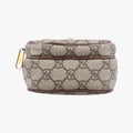 Neo Vintage Mini Beige×Brown PVC coated canvas 658556 ネオ ヴィンテージ ミニ ベージュ×ブラウン PVCコーティングキャンバス 658556