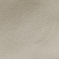 Blondie mini White Leather 698643 H0383889352ブロンディ ミニ ホワイト レザー 698643 H0383889352