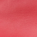 GG Marmont Red Leather 476433 GGマーモント レッド レザー 476433