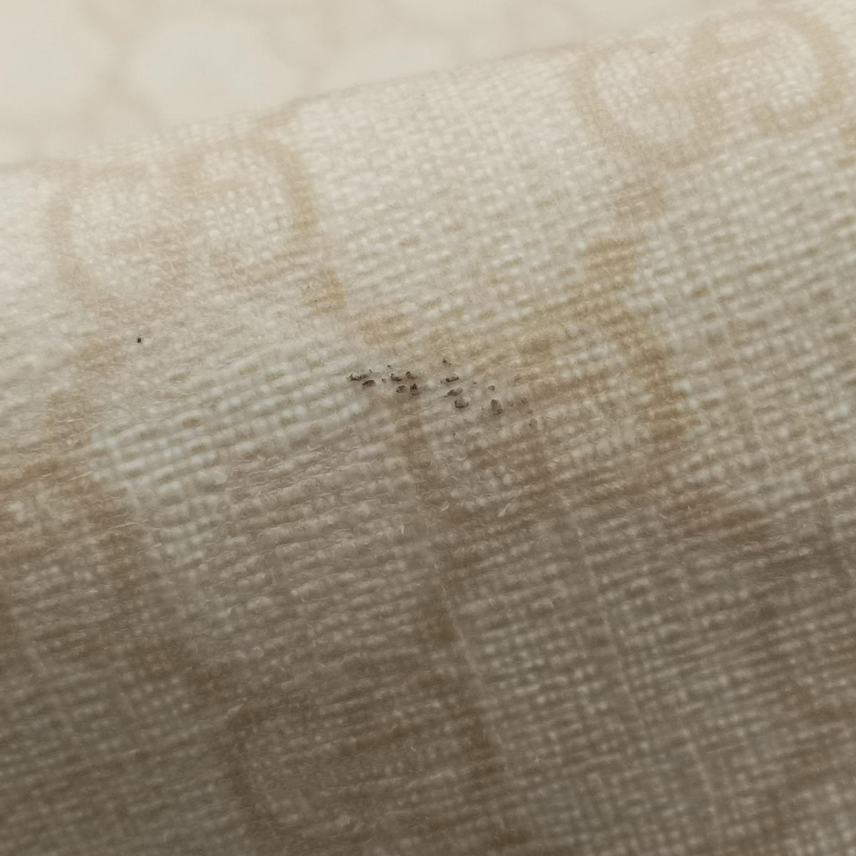 Guccissima GG Imprime Beige PVC coated canvas 211120 H6123300グッチシマ インプリメ ベージュ PVCコーティングキャンバス 211120 H6123300