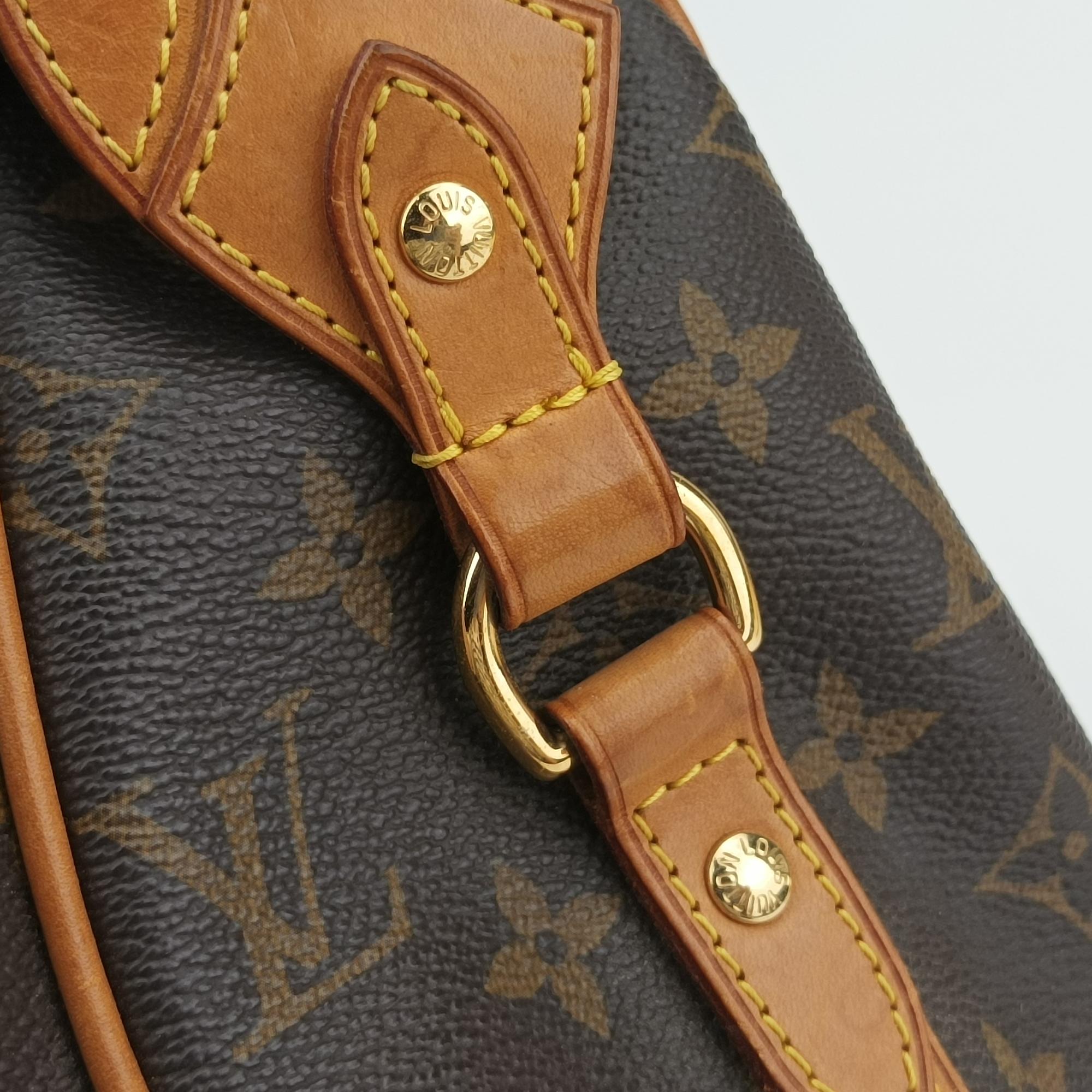 ルイヴィトン Louis Vuitton ショルダーバッグ レディース ストレーザPM モノグラム/ブラウン系 モノグラムキャンバス M51186 FL5019